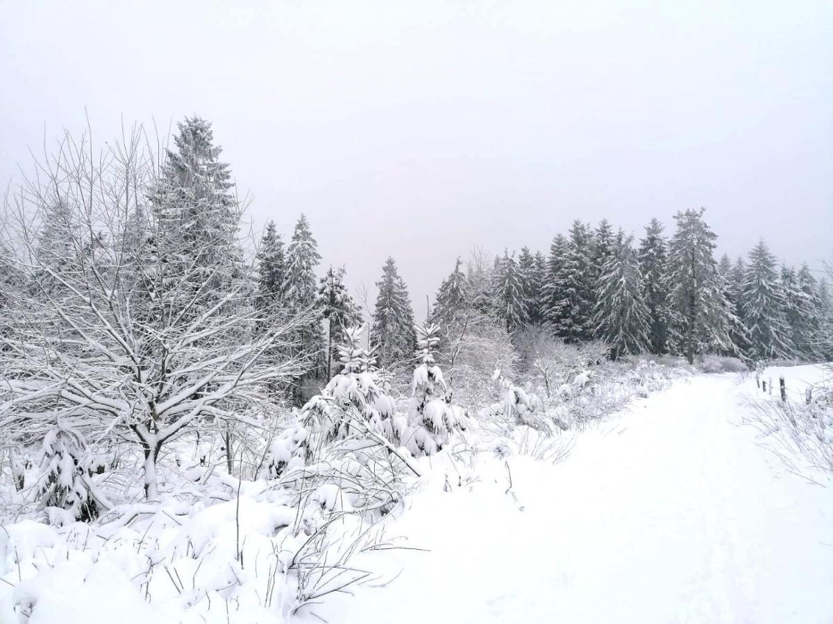 Bed and Breakfast Haus Berchstein Winterberg Exteriér fotografie